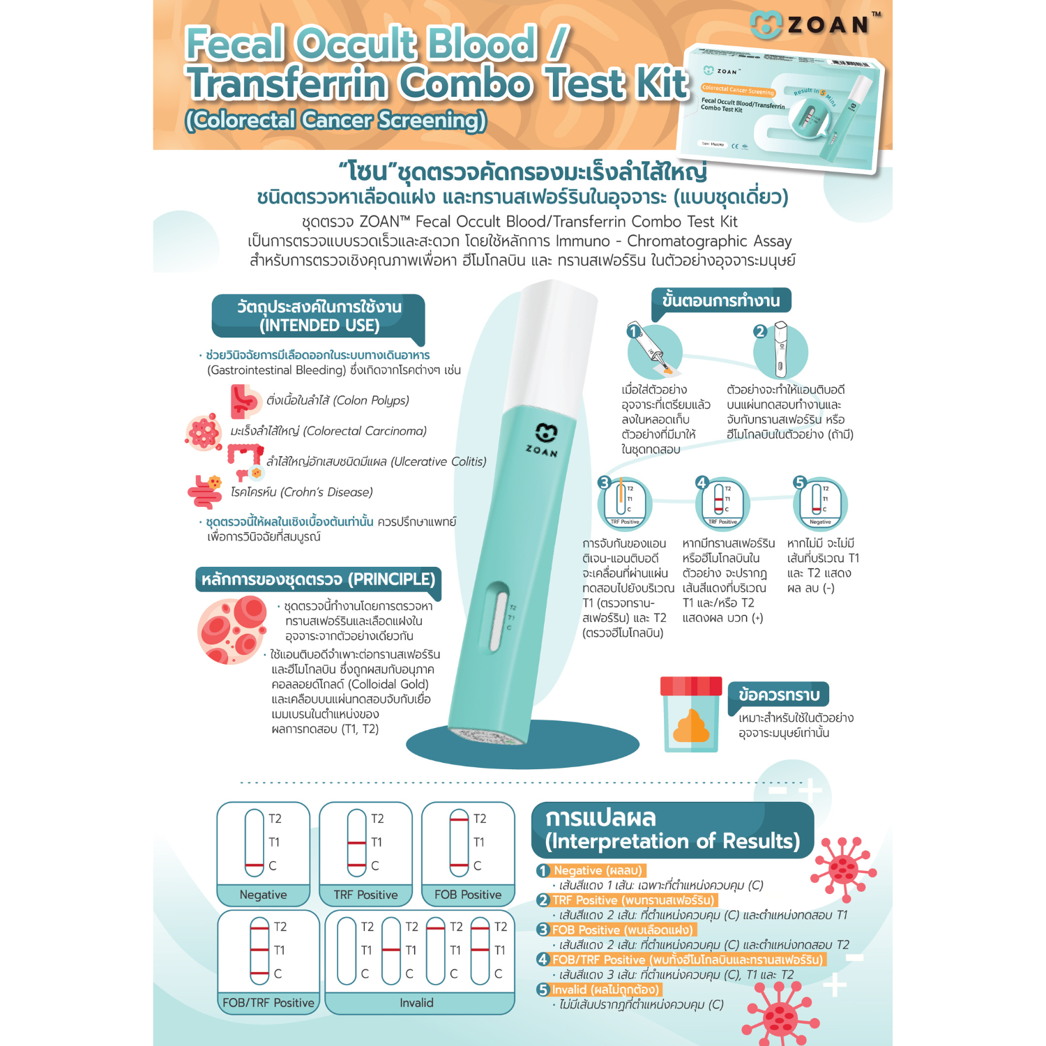 โซน ชุดตรวจคัดกรองมะเร็งลำไส้ใหญ่ ชนิดตรวจหาเลือดแฝง และทรานสเฟอร์รินในอุจจาระ (แบบชุดเดี่ยว) - Image 4